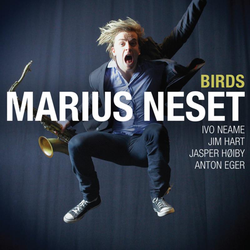 Picture of Marius Neset - Birds