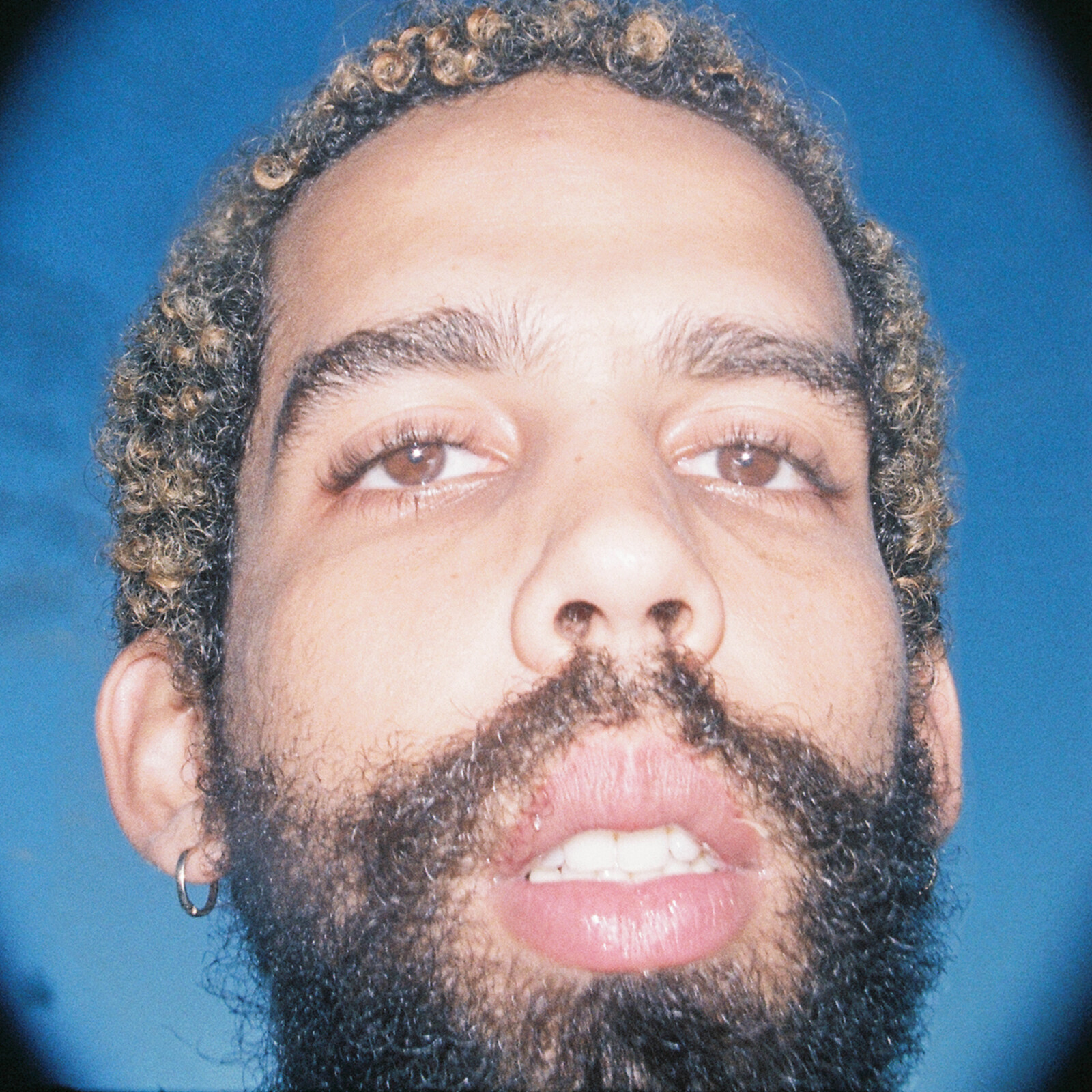 Picture of Bruno Berle - No Reino Dos Afetos