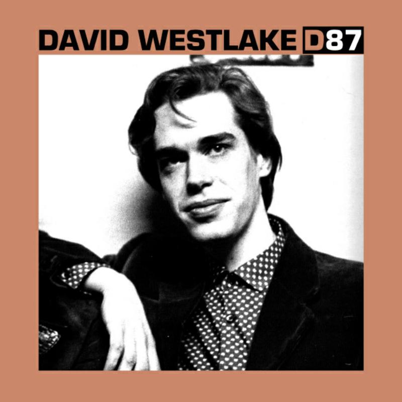 Picture of DAVID WESTLAKE - D87