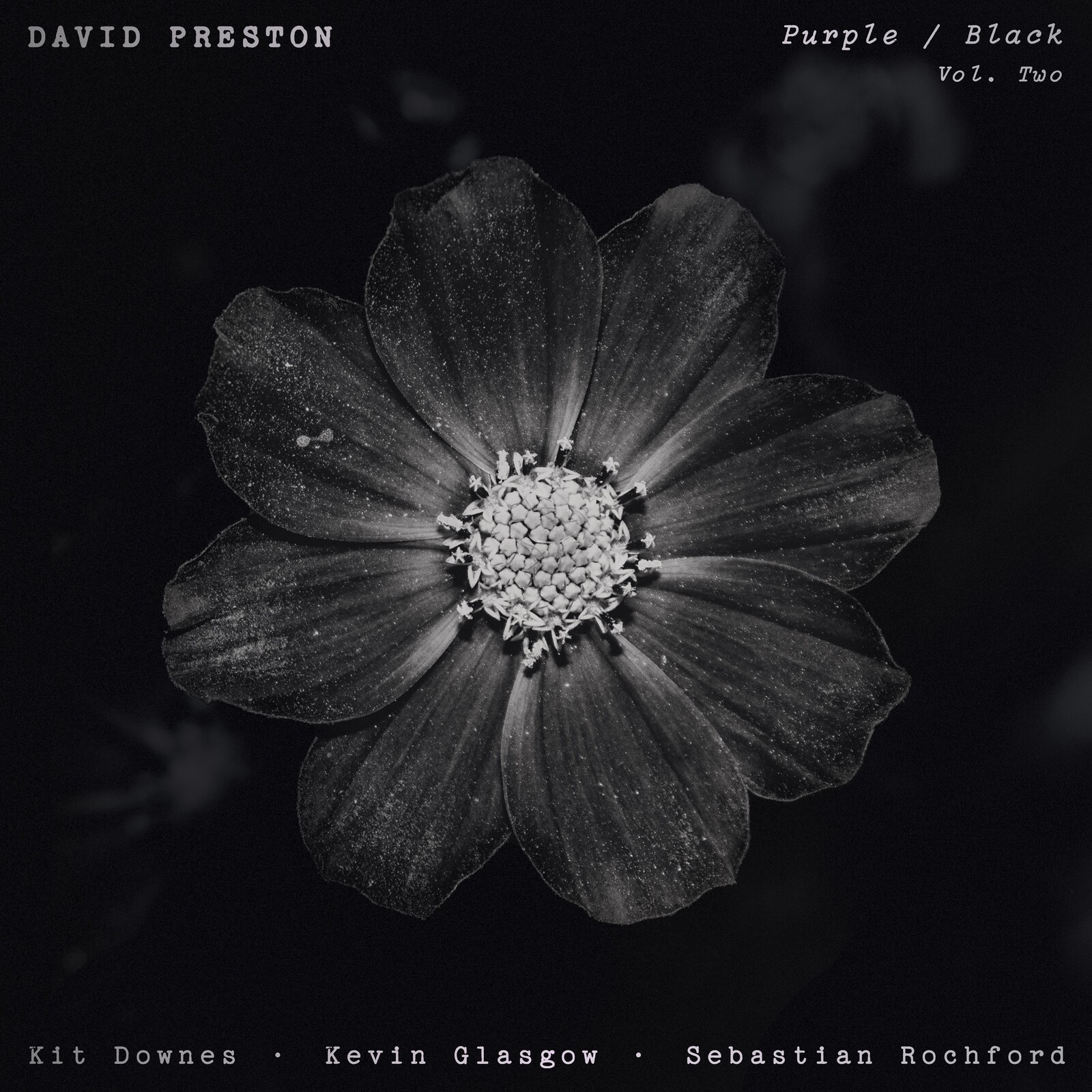 Picture of David Preston - Purple / Black Vol. 2