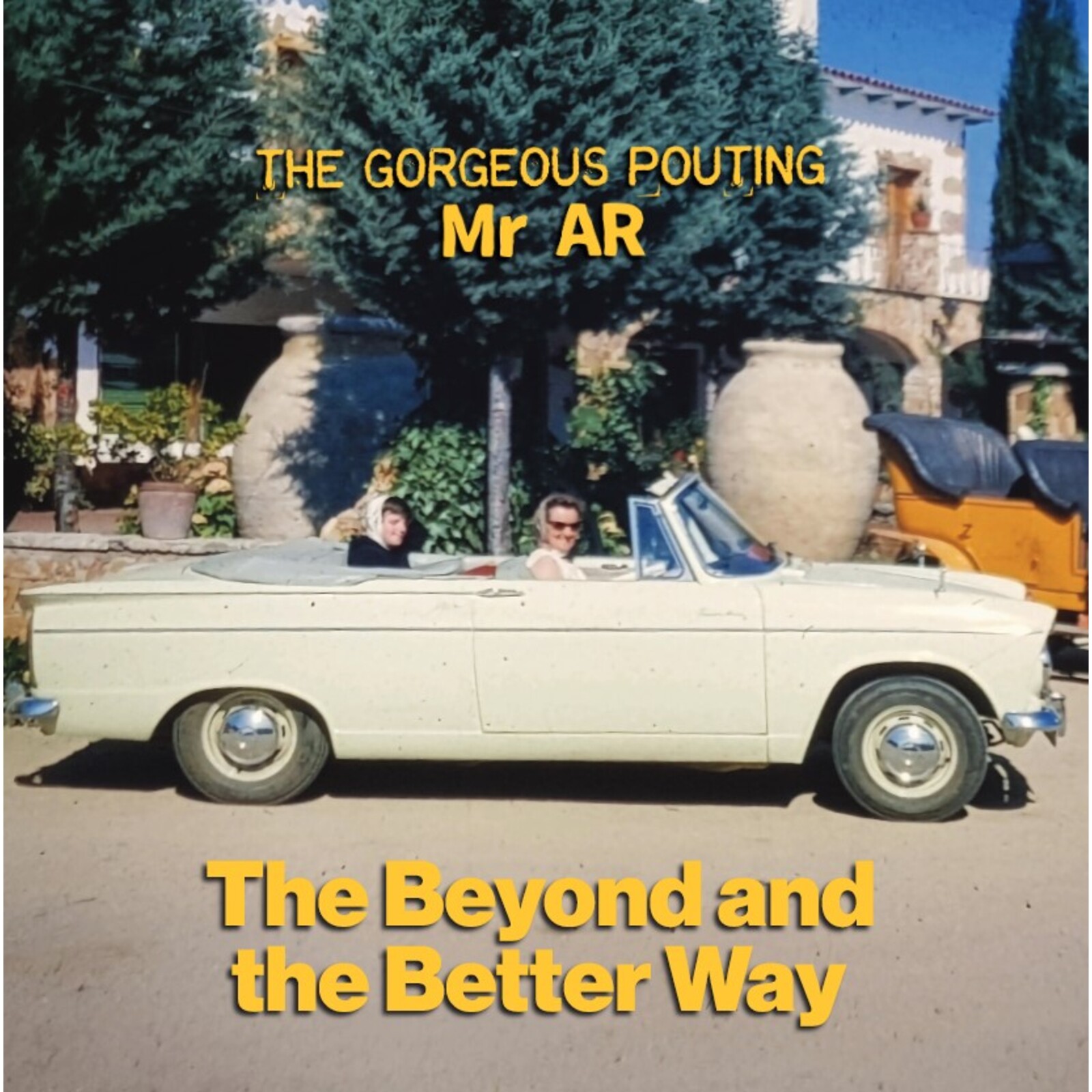 Picture of The Gorgeous Pouting Mr AR - The Beyond and the Better Way