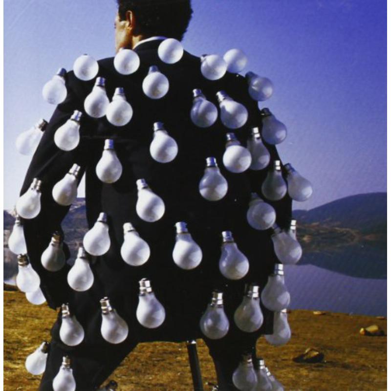 Picture of Pink Floyd - A Delicate Sound Of Thunder