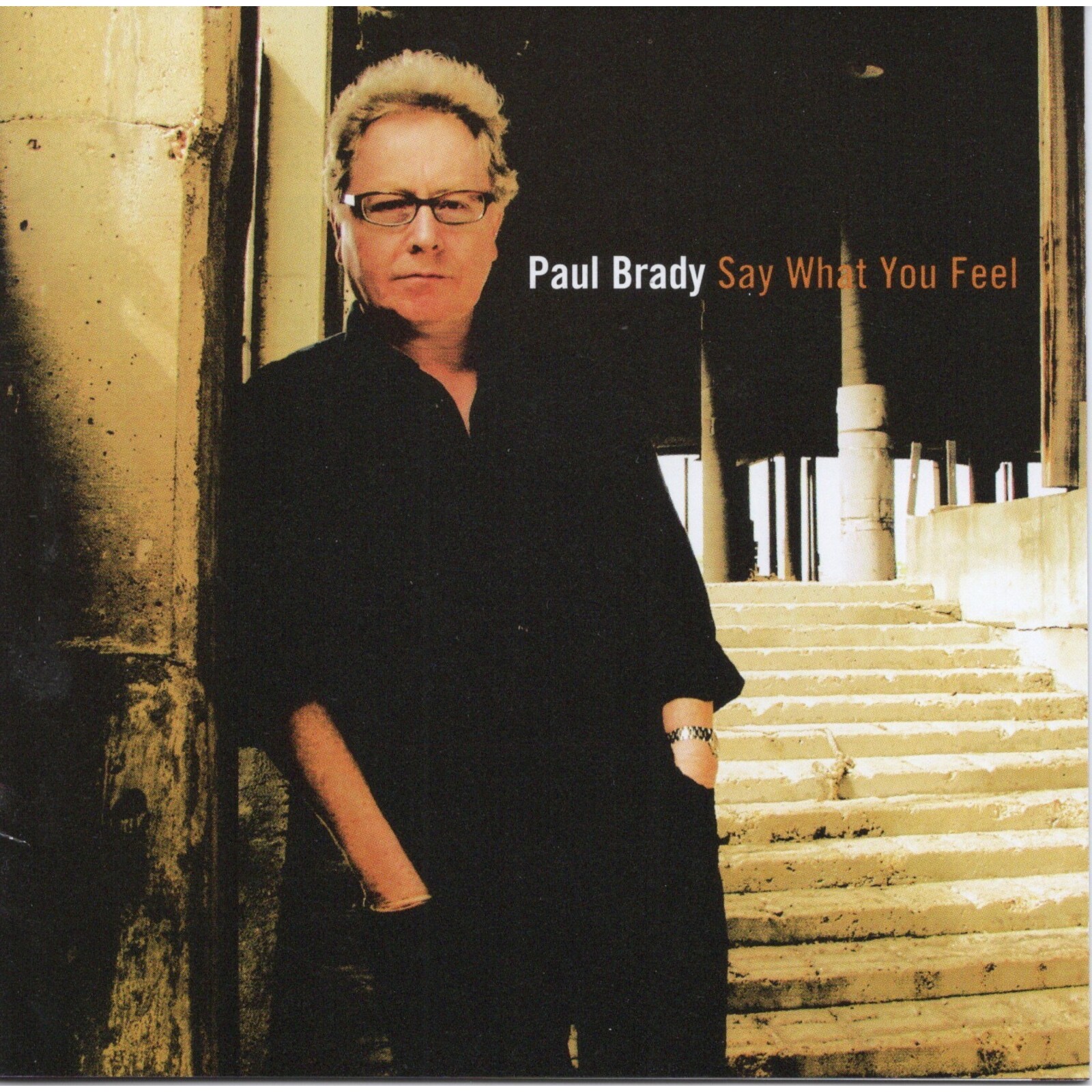 Picture of Paul Brady - Say What You Feel