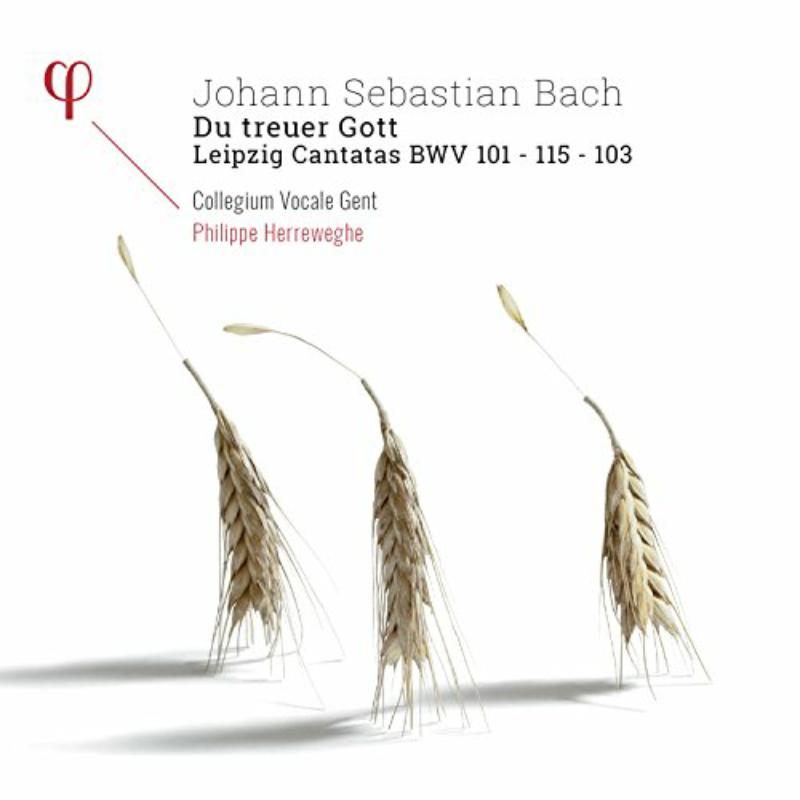 Picture of J. S. Bach - 103 & 1 Kantaten Bwv 101