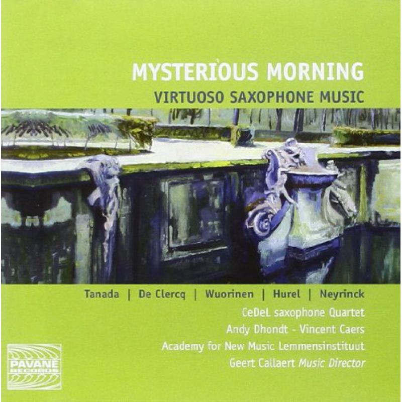 Picture of Academy For New Music Lemmensinstituut - Mysterious Morning