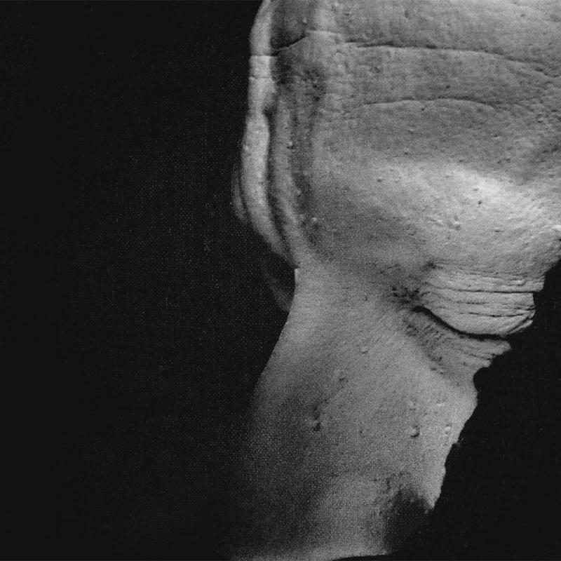 Picture of Chve - Rasa