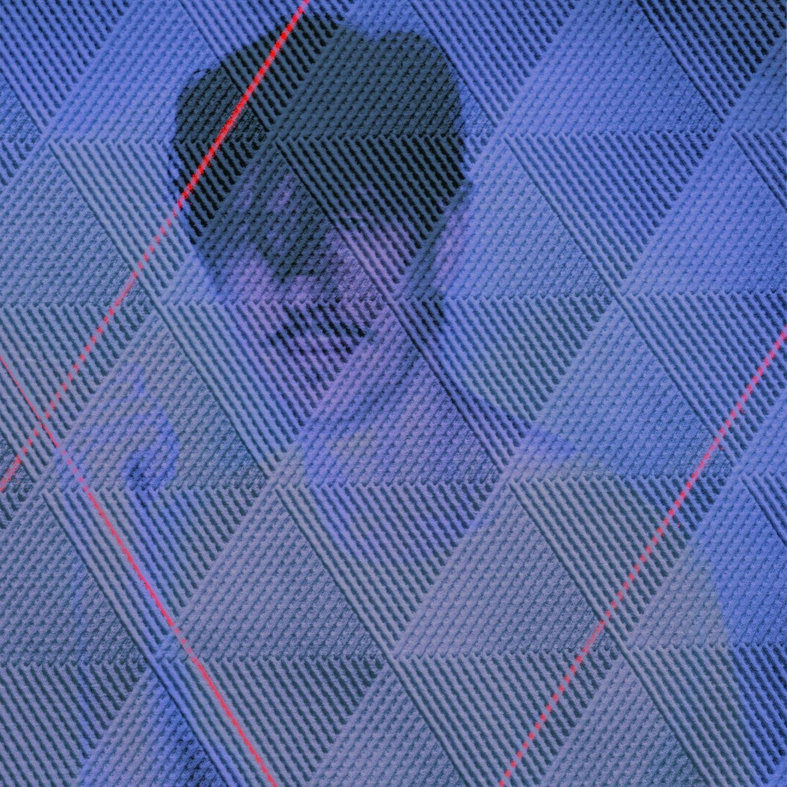 Picture of DIJF SANDERS - SUPRA