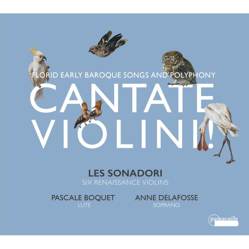 Picture of Les Sonadori ; Pasquale Boquet; Anne Delafosse - Florid Early Baroque Songs And Polyphony