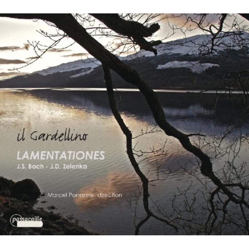 Picture of Marcel Ponseele - Lamentationes