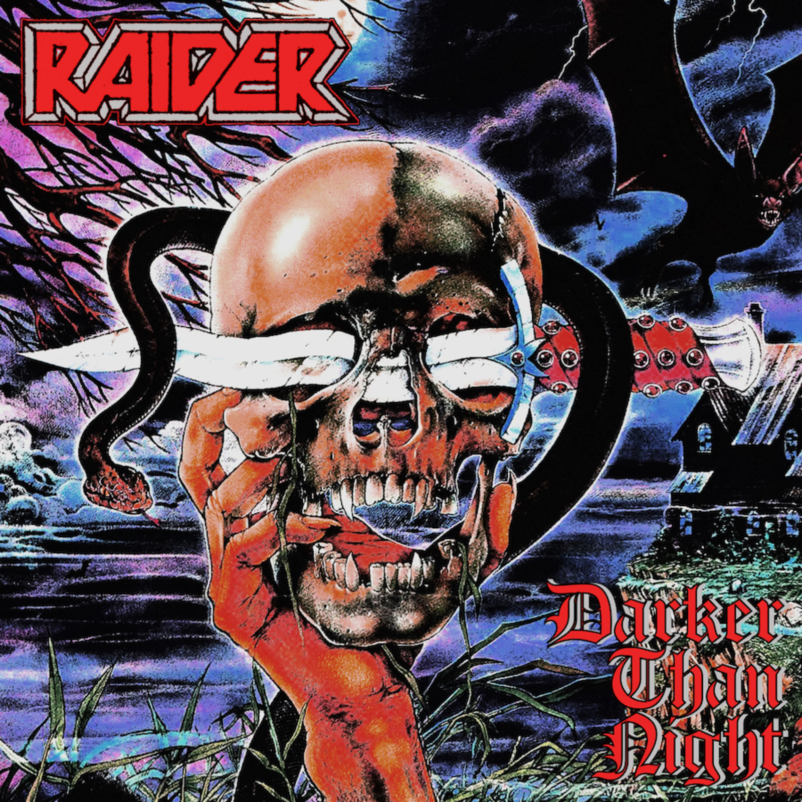 Picture of Raider - Darker Than Night