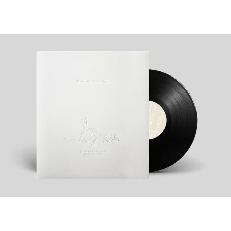 Picture of Anthony Burr, Sk�li Sverrisson, Yungchen Lhamo - They Hold It For Certain�