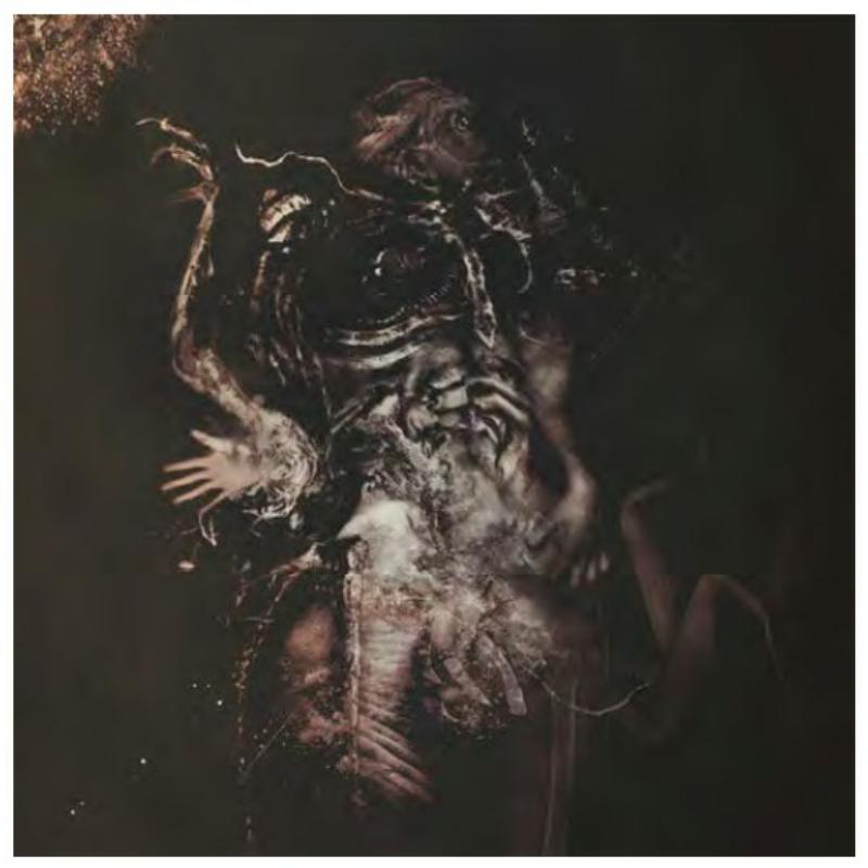 Picture of Hasard - Malivore