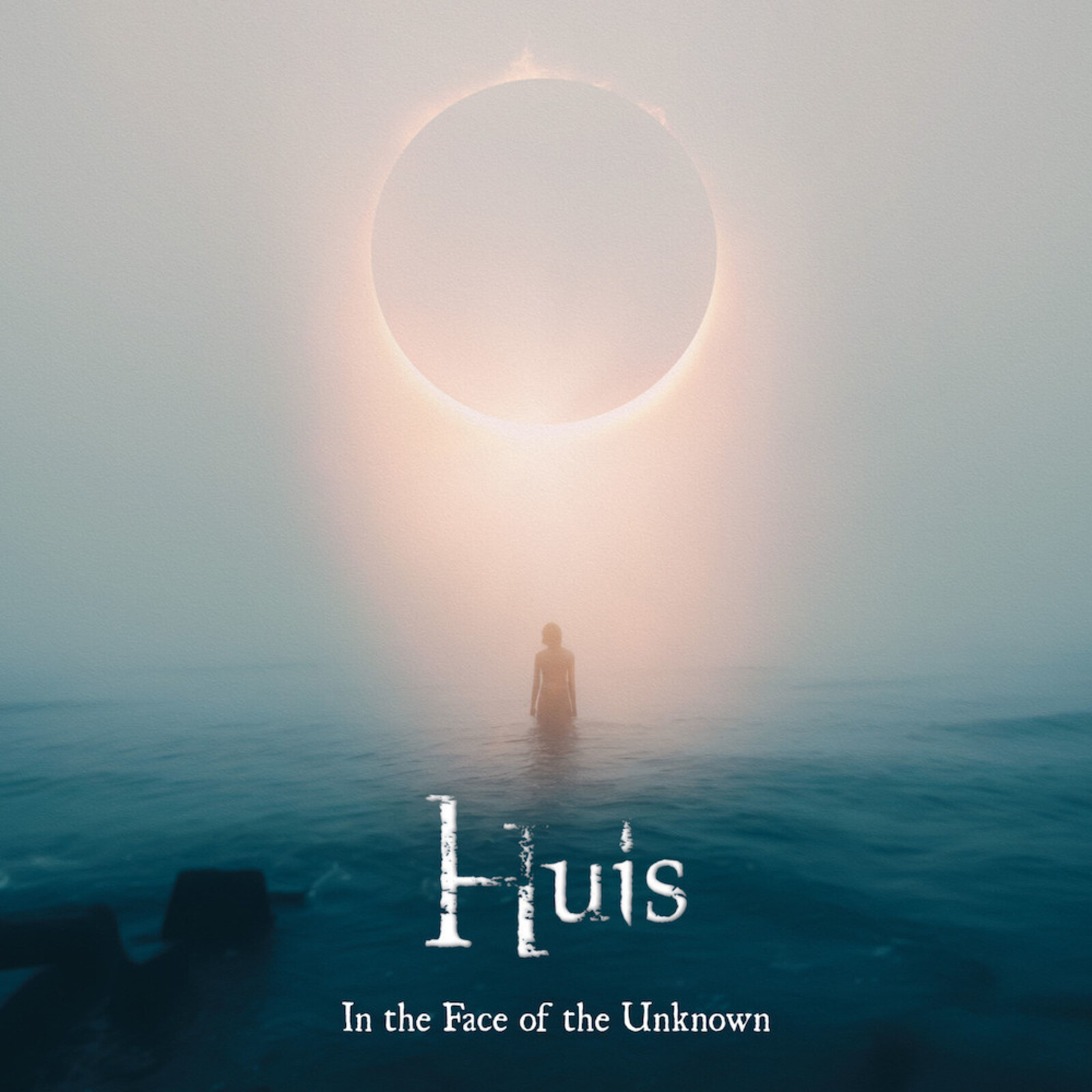 Picture of Huis - In The Face Of The Unknown