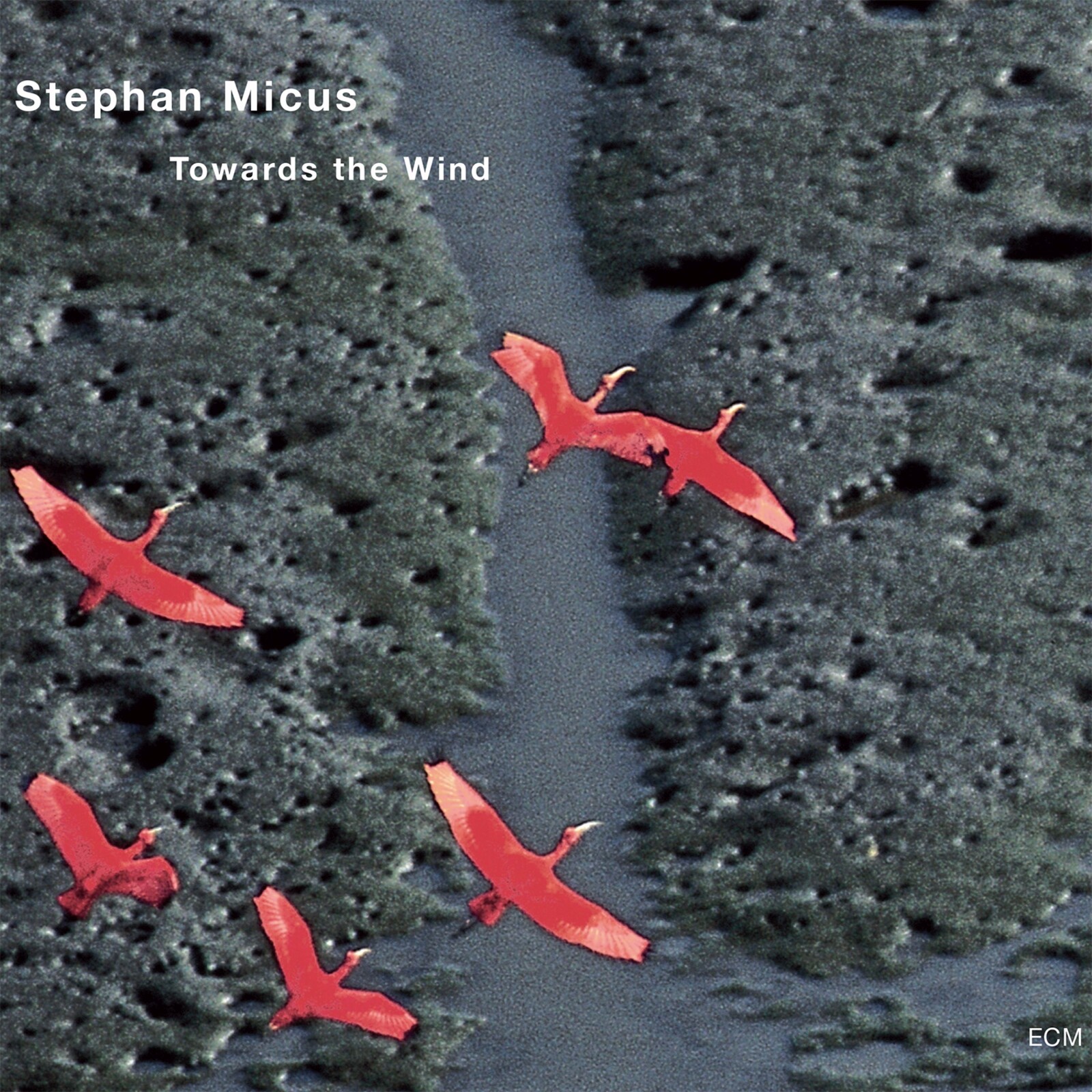 Picture of Stephan Micus - Towards the Wind