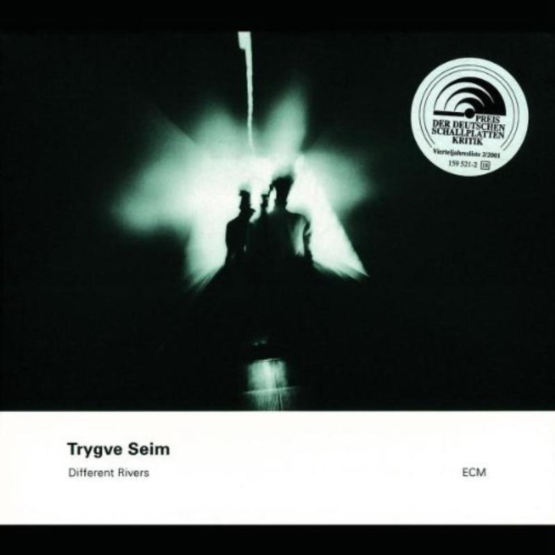 Picture of Trygve Seim - Different Rivers