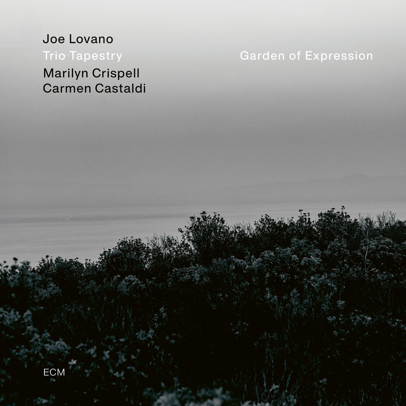 Picture of Joe Lovano - Garden of Expression