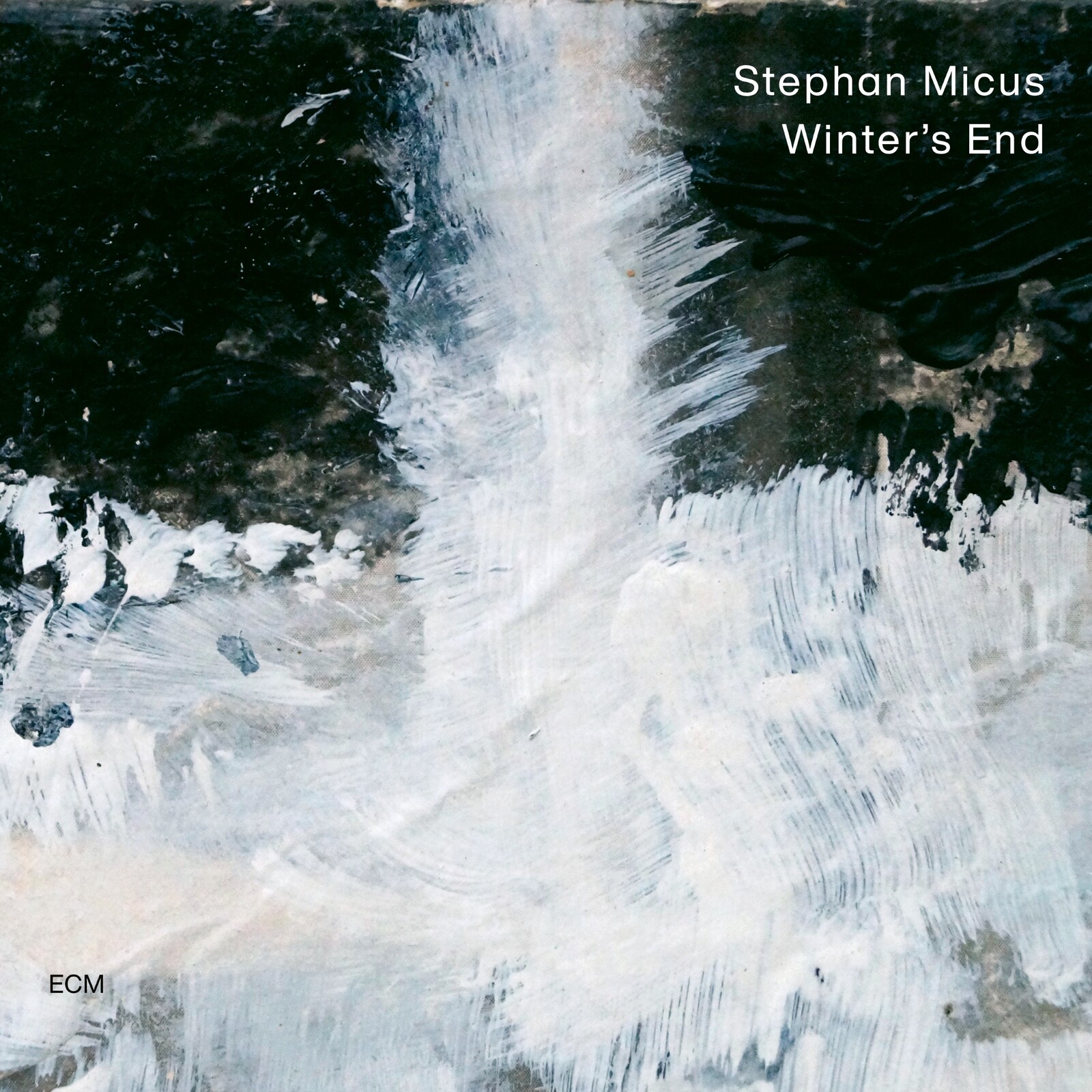 Picture of Stephan Micus - Winter's End