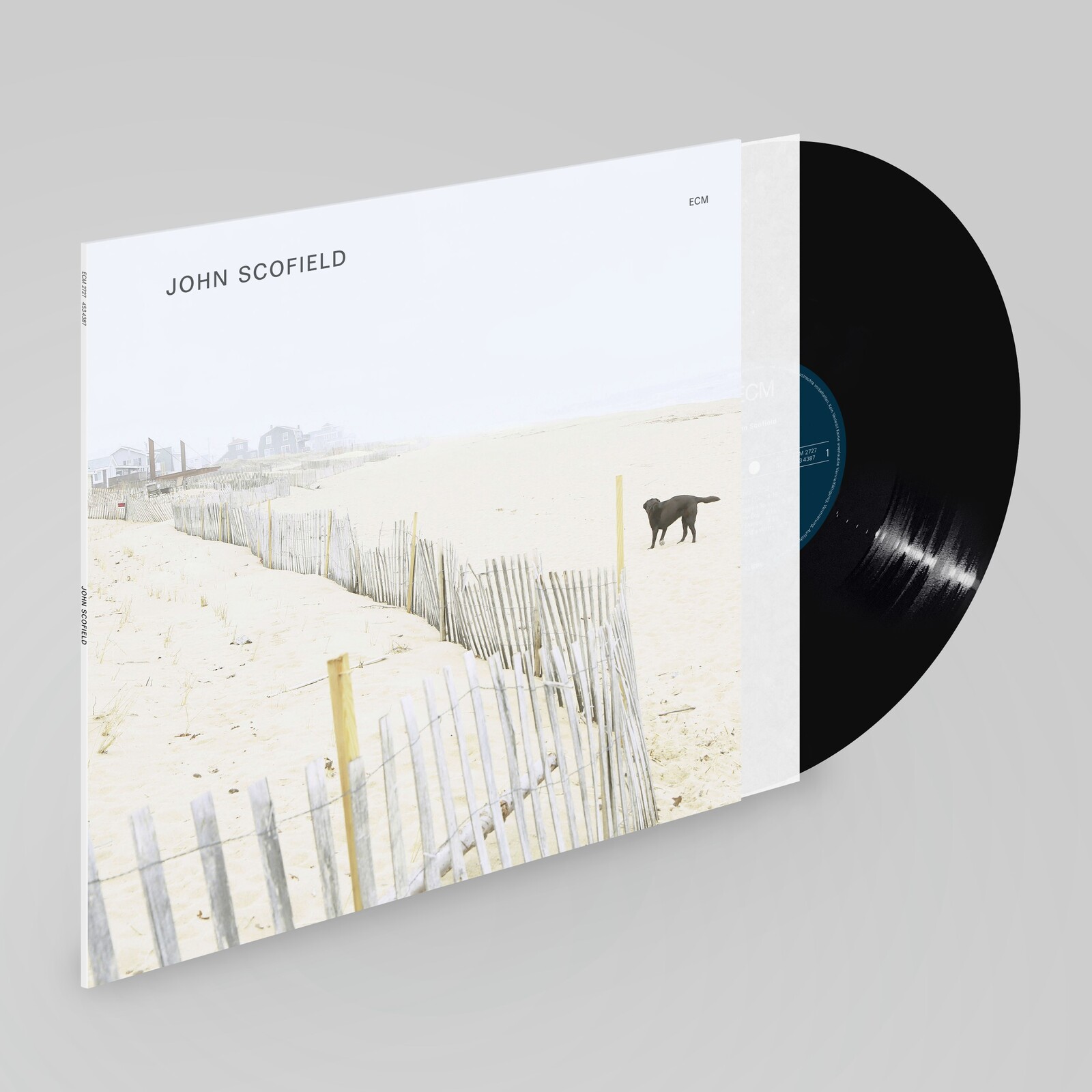 Picture of John Scofield - John Scofield