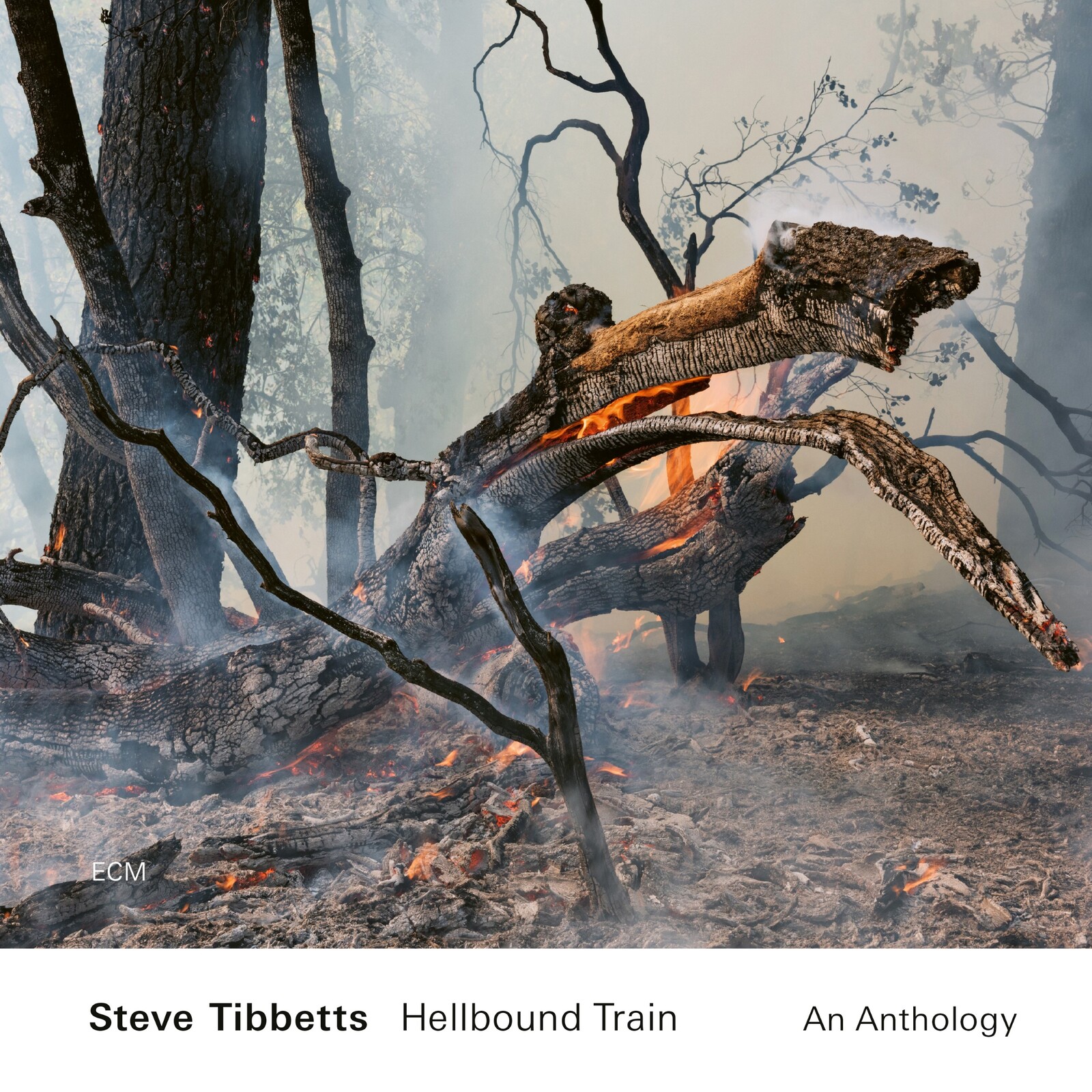 Picture of Steve Tibbetts - Hellbound Train - An Anthology (2CD)