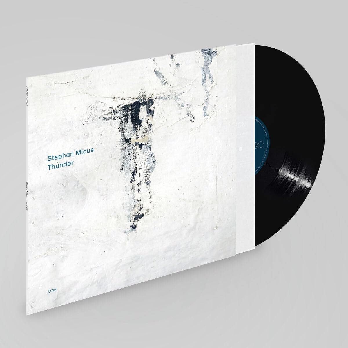 Picture of Stephan Micus - Thunder