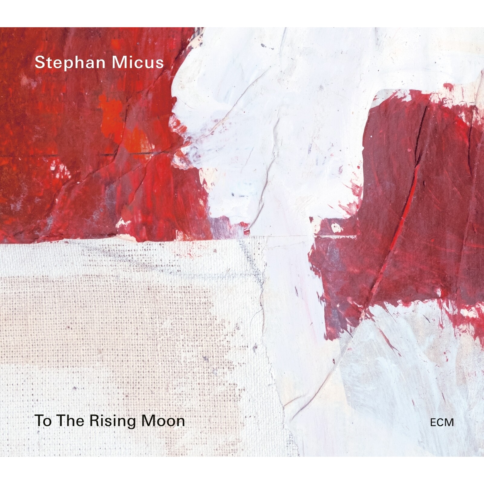 Picture of Stephan Micus - Stephan Micus: To The Rising Moon