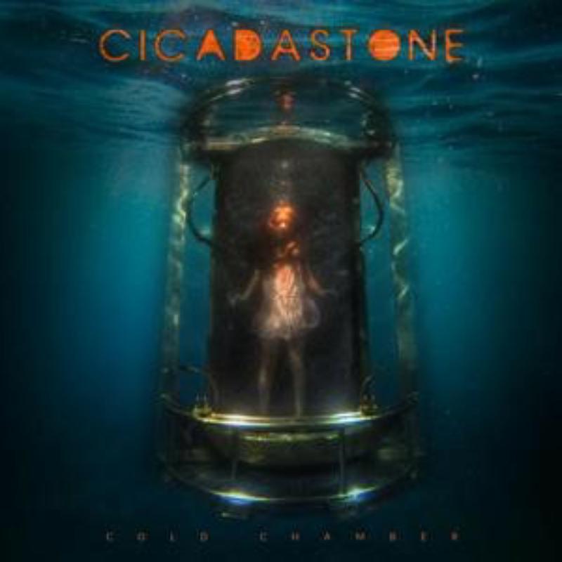 Picture of Cicadastone - Cold Chamber