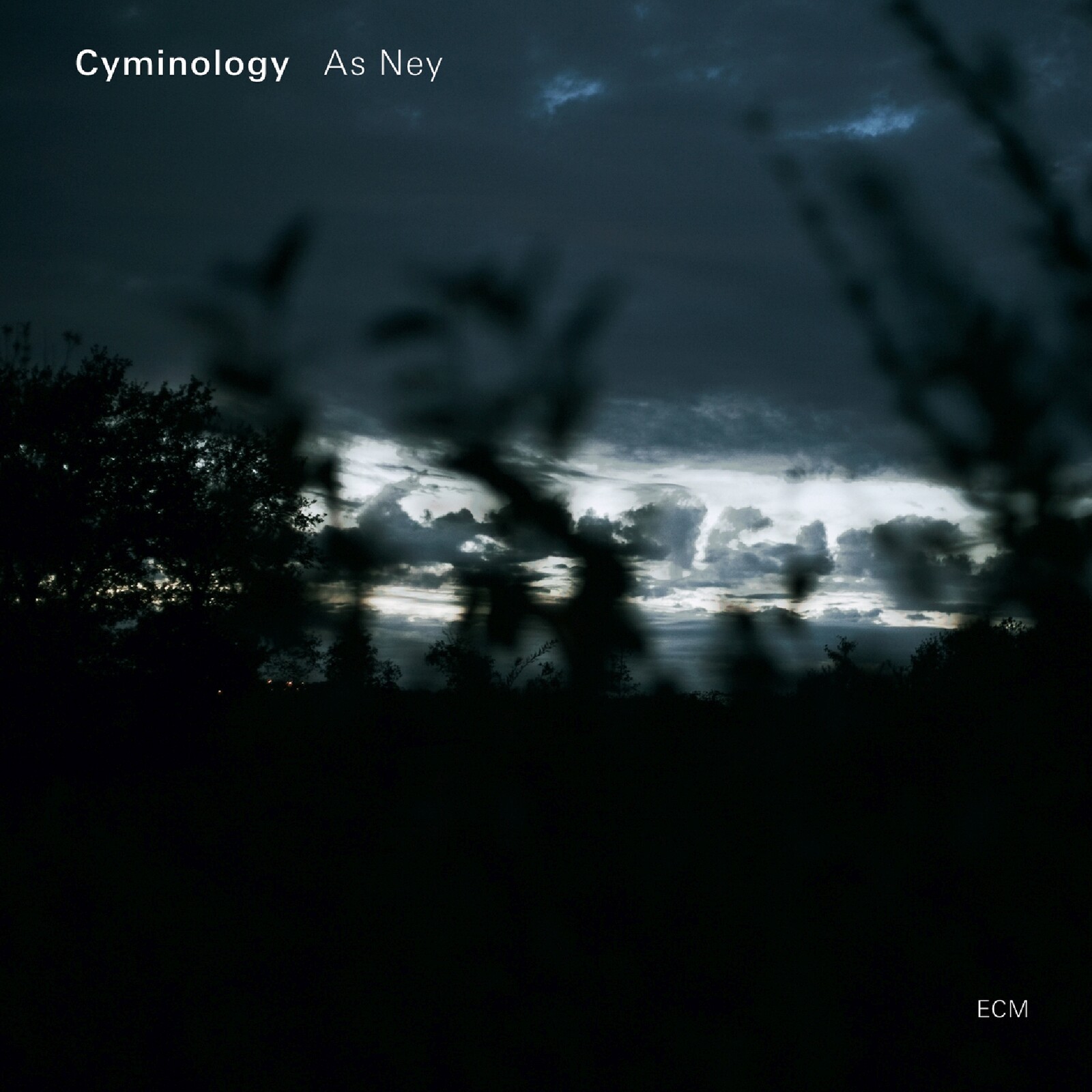 Picture of Cyminology - As Ney