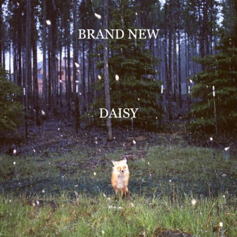 Picture of Brand New - Daisy