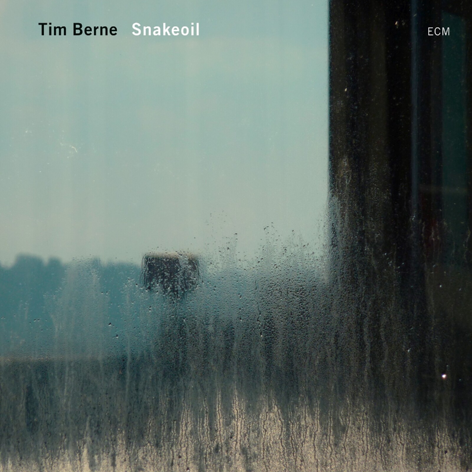 Picture of Tim Berne - Snakeoil