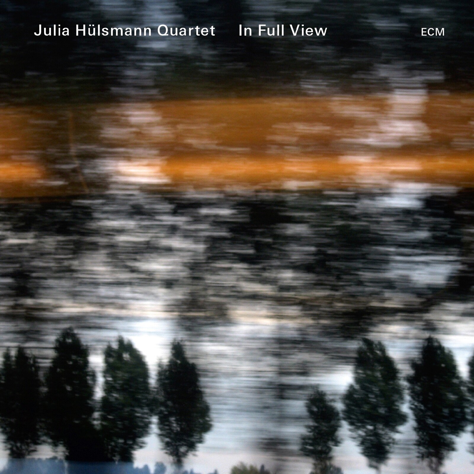 Picture of Julia Hulsmann Quartet - In Full View