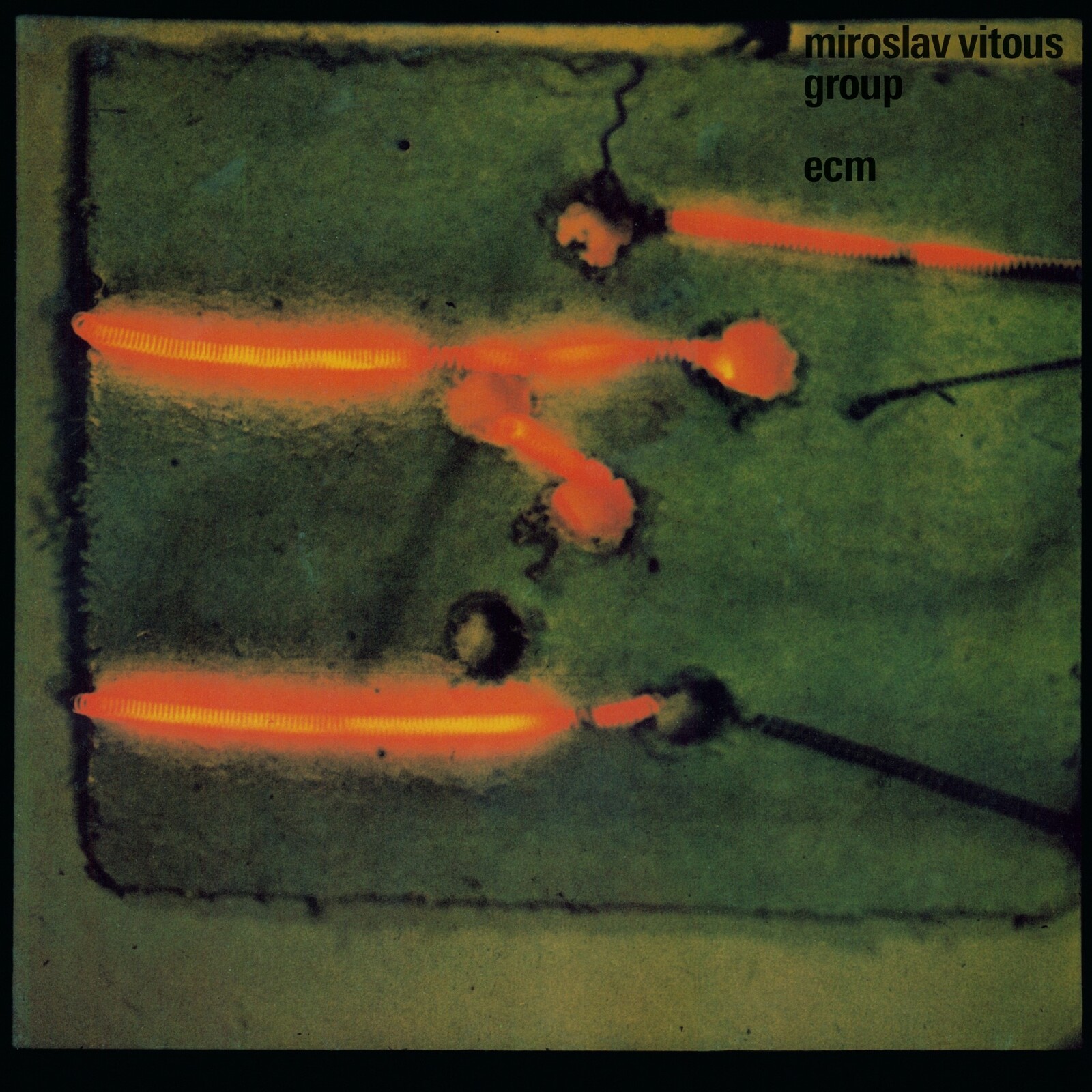 Picture of Miroslav Vitous Group - Miroslav Vitous Group (180g Vinyl)