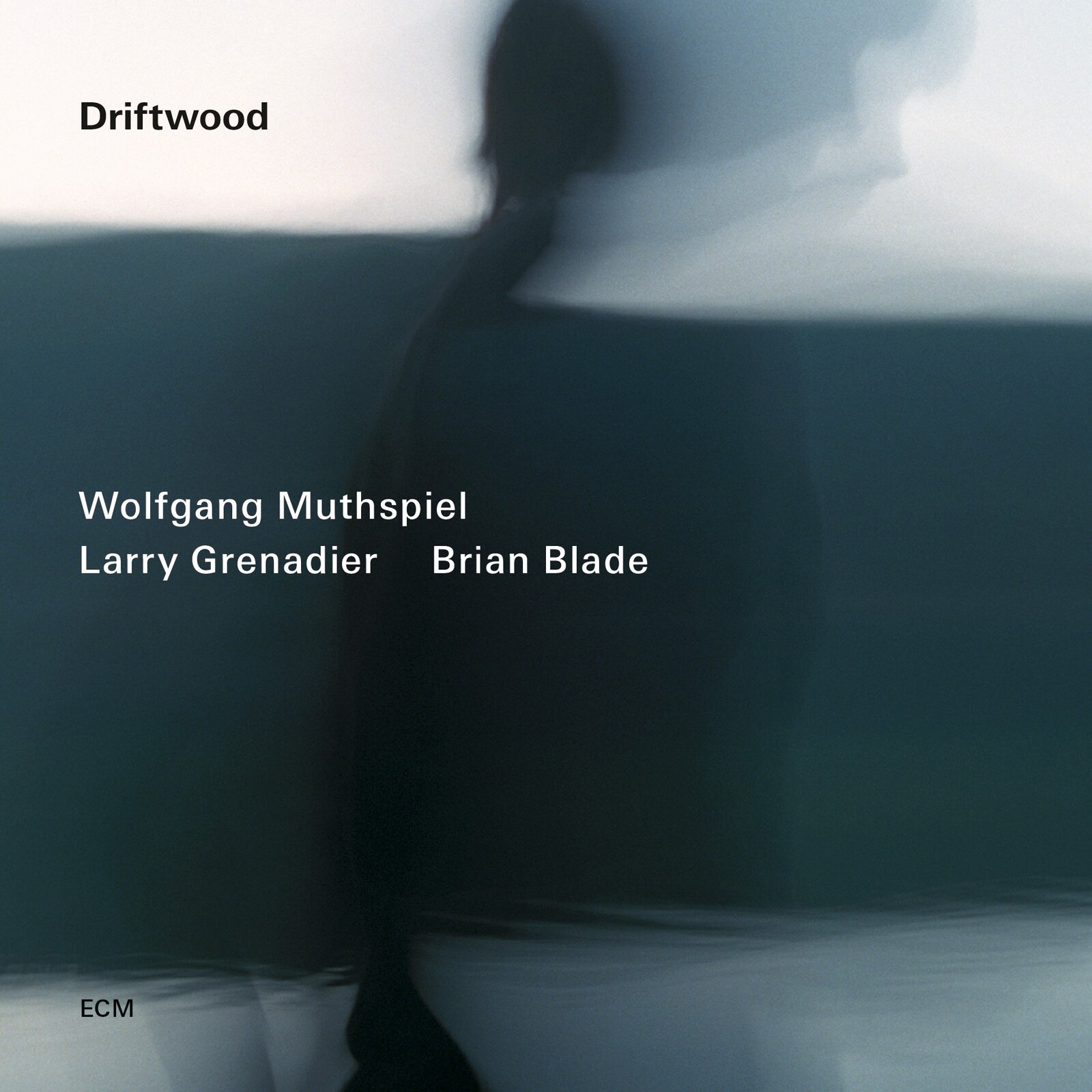 Picture of Wolfgang Muthspiel, Larry Grenadier & Brian Blade - Driftwood