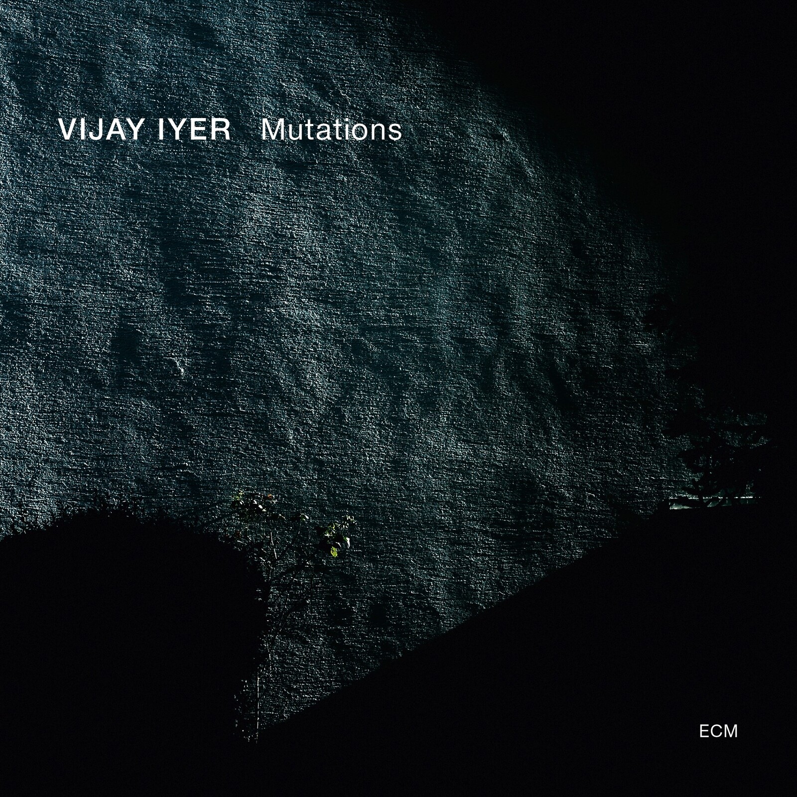 Picture of Vijay Iyer - Mutations