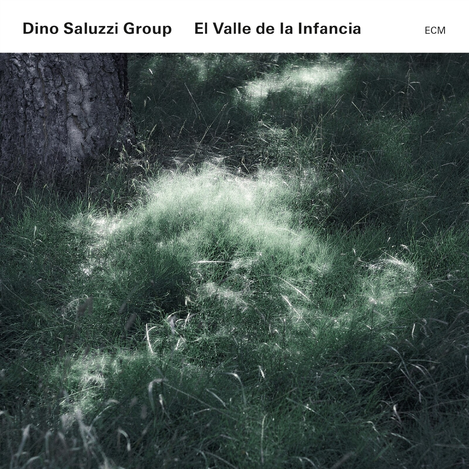 Picture of Dino Saluzzi Group - El Valle de la Infancia