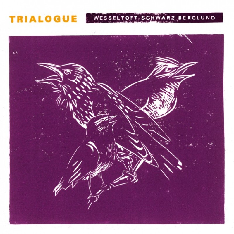 Picture of Bugge Wesseltoft, Henrik Schwarz & Dan Berglund - Trialogue