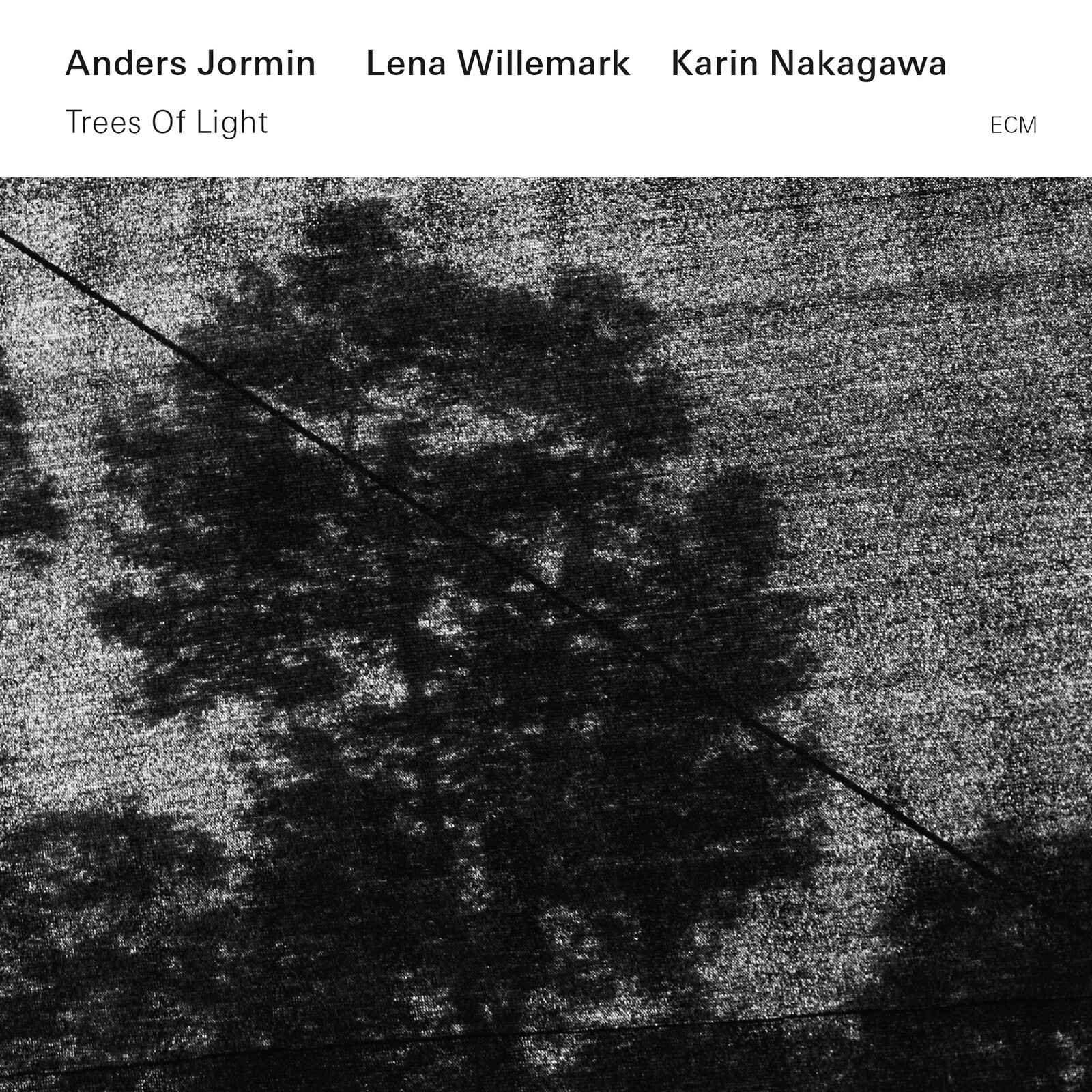 Picture of Anders Jormin, Lena Willemark & Karin Nakagawa - Trees of Light