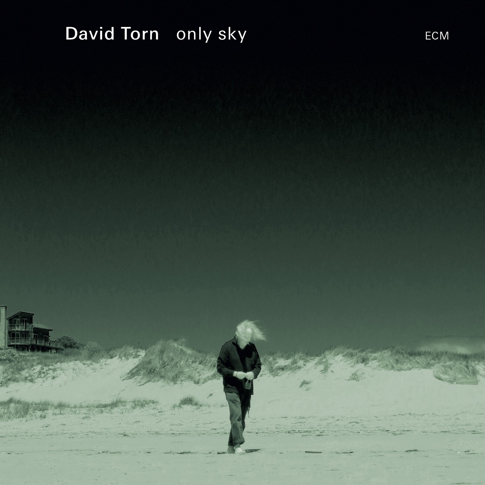 Picture of David Torn - Only Sky