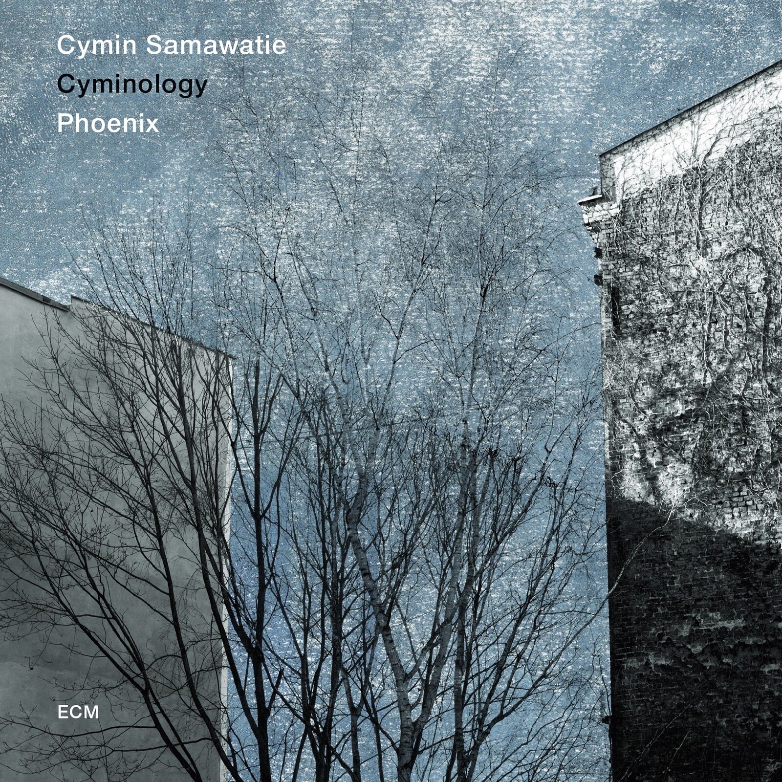 Picture of Cymin Samawatie & Cyminology - Phoenix
