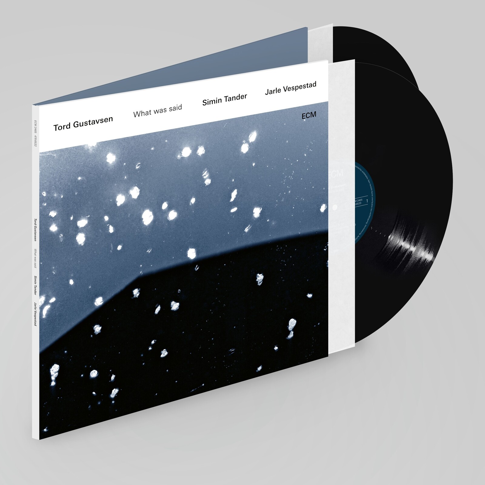Picture of Tord Gustavsen, Simin Tander & Jarle Vespestad - What Was Said