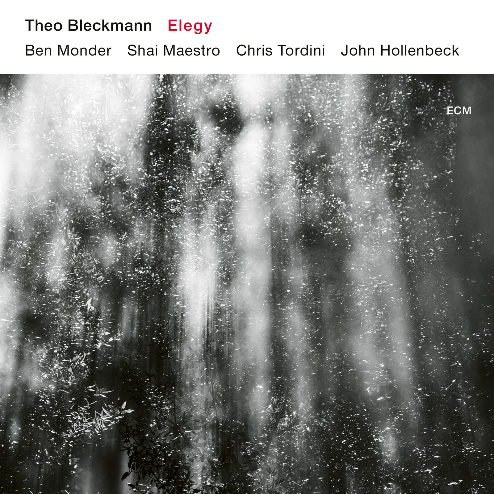Picture of Theo Bleckmann - Elegy