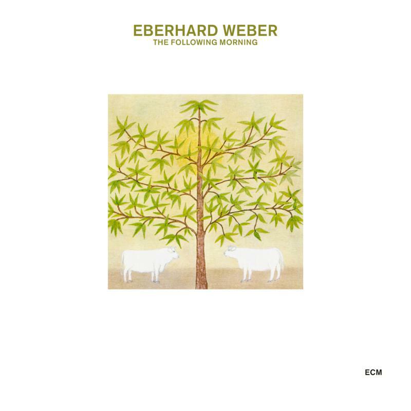 Picture of Eberhard Weber - The Following Morning