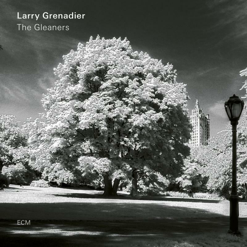 Picture of Larry Grenadier - The Gleaners