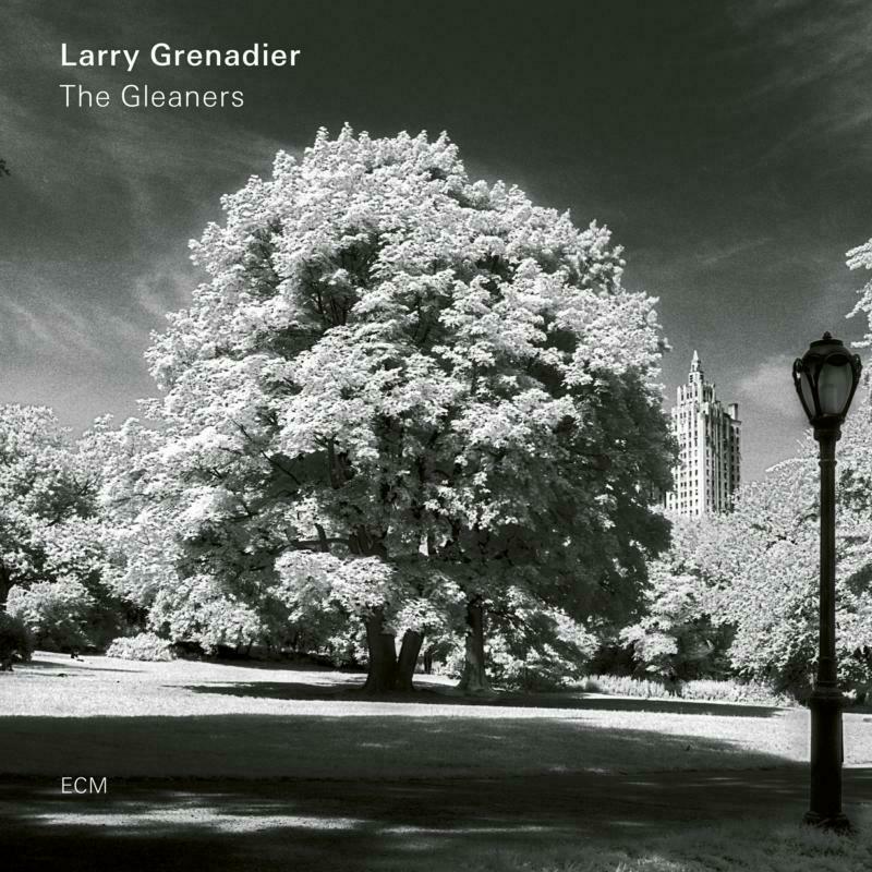 Picture of Larry Grenadier - The Gleaners