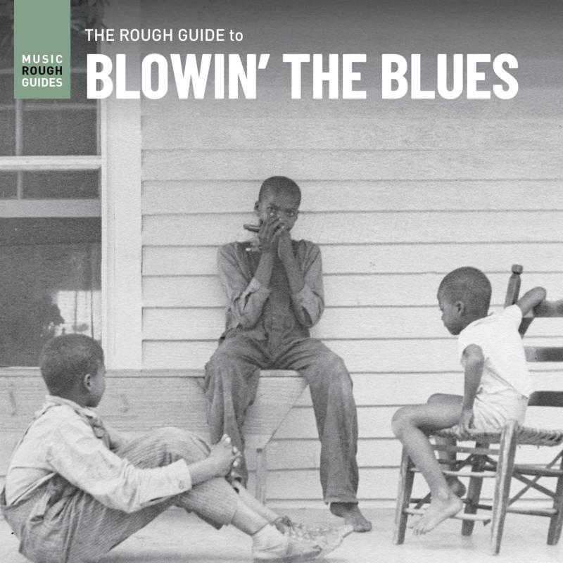 Picture of Various Artists - The Rough Guide to Blowin' the Blues