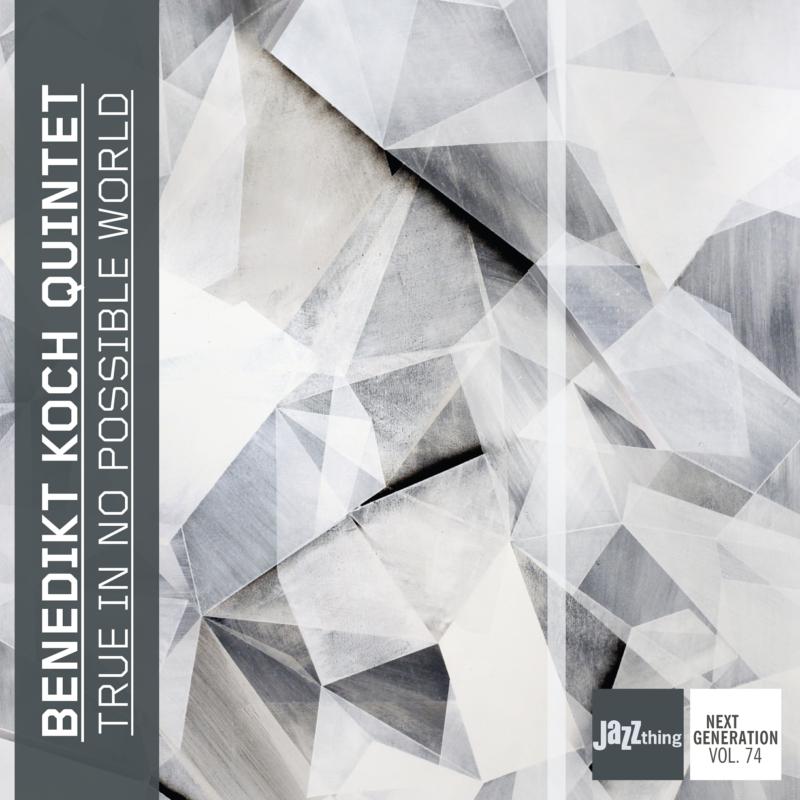 Picture of Benedikt Koch Quintet - True in No Possible World