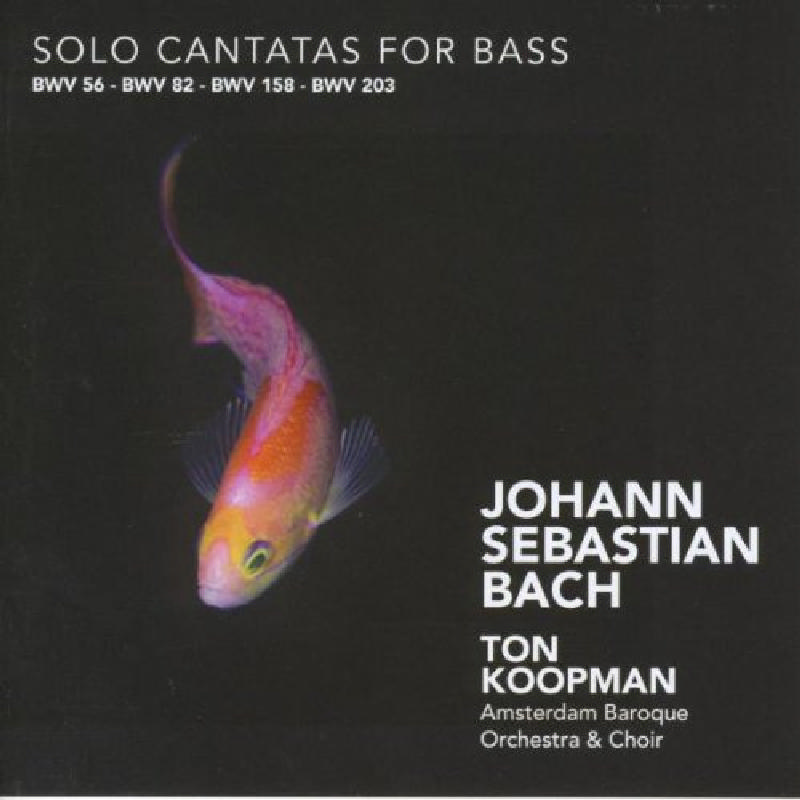 Picture of Johann Sebastian Bach - J S Bach: Solo Cantatas for Bass