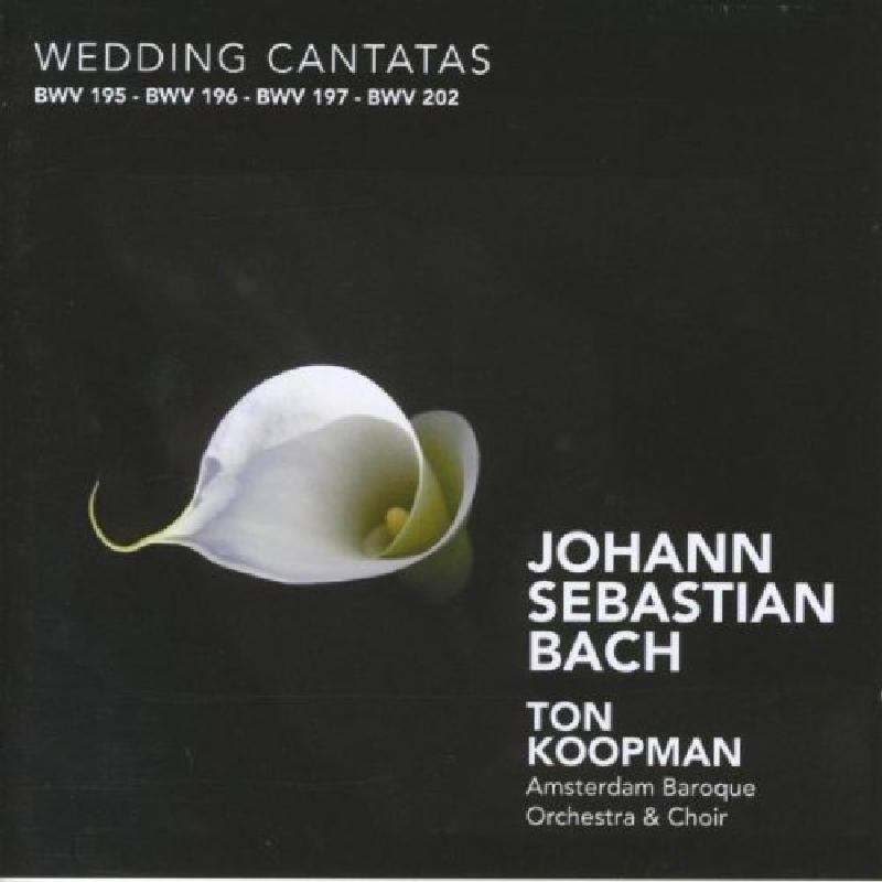 Picture of Johann Sebastian Bach - J S Bach: Wedding Cantatas