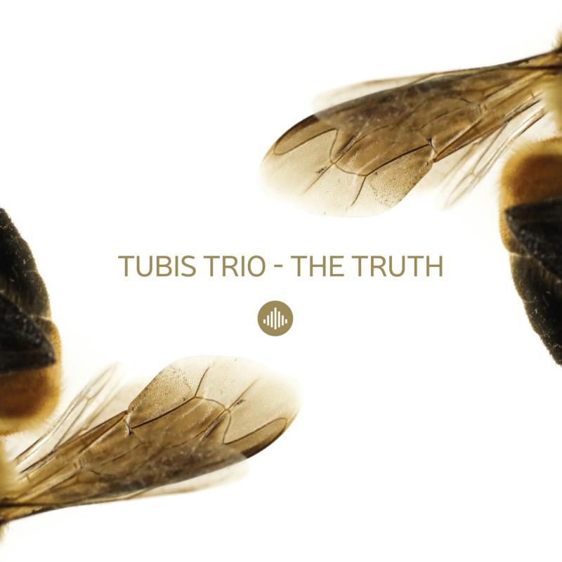 Picture of Tubis Trio - The Truth