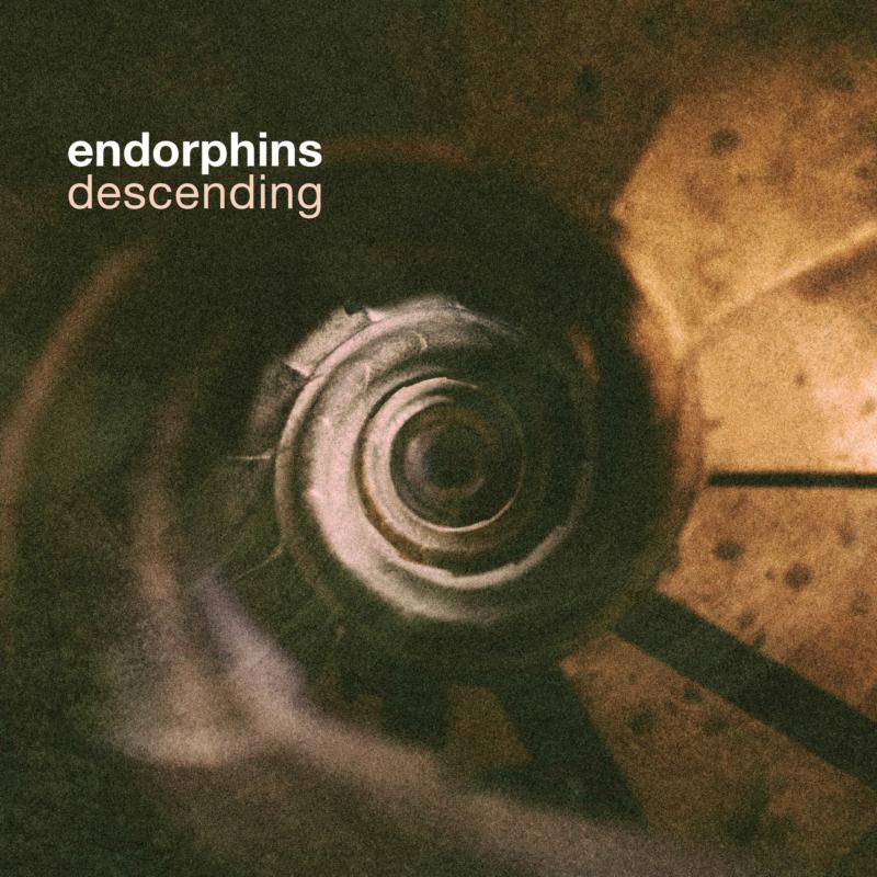 Picture of Endorphins - Descending
