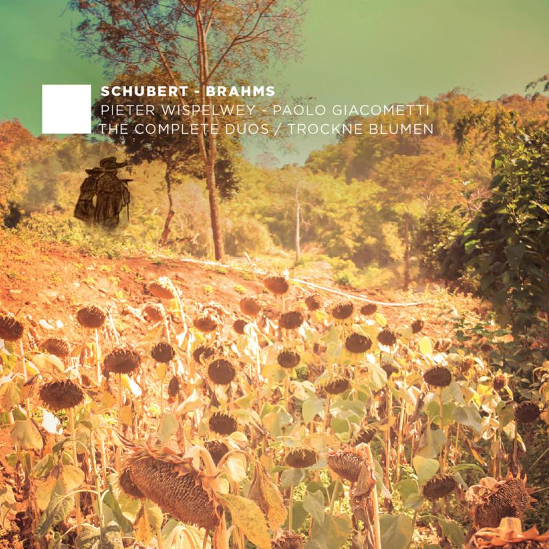 Picture of Pieter Wispelwey - Brahms: The Complete Duos / Trockne Blumen